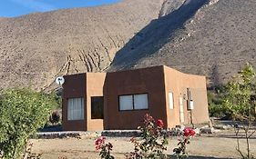 VALLE DEL ELQUI,Diaguitas, Vicuña